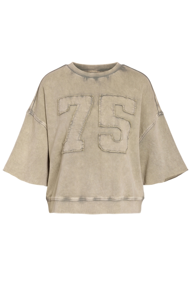 NMCIARA 2/4 SLEEVE SWEATSHIRT JRS 27034216 SILVER LINING